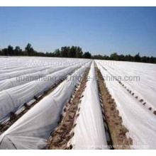 Made in China Good Quality Good Serves Moisturized Plant Fabric Nonwoven Fabric Agriculture Covers Fabric